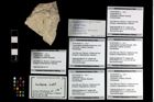 Foto (Objekt + Etikett) von Cycloprosopon sp.  (NHMW-GEO-2014-0194-0971b)